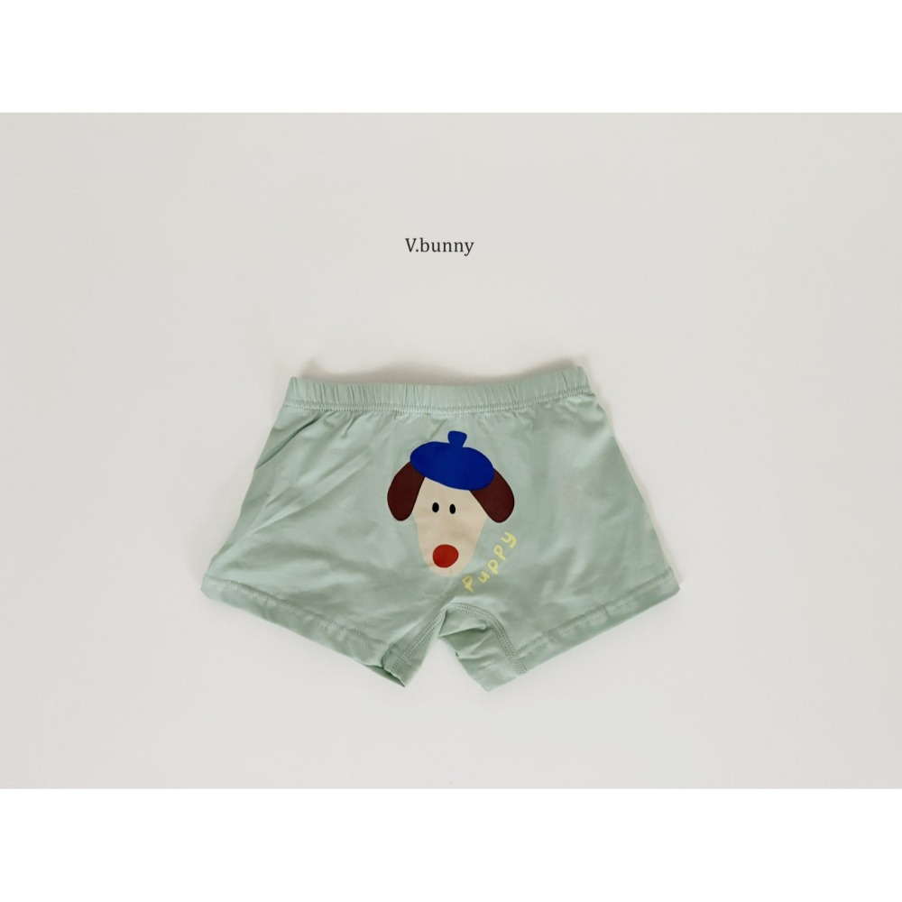 V.bunny 內褲 바닐라버니 페팻팬티-細節圖11