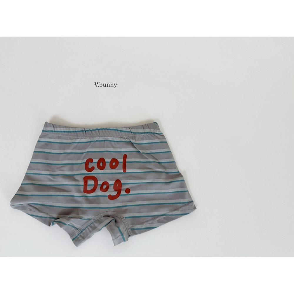 V.bunny 內褲 바닐라버니 쿨도그팬티-細節圖10