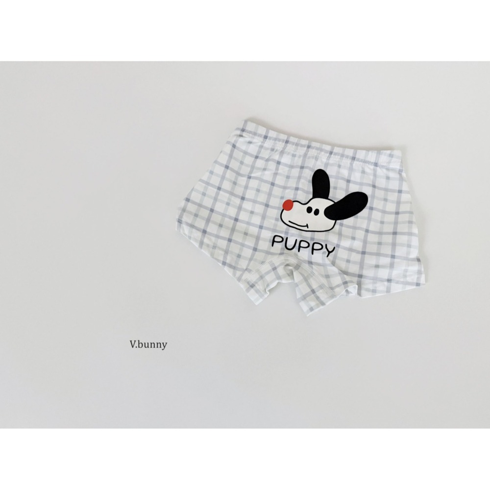 V.bunny 內褲 바닐라버니 쿨도그팬티-細節圖11