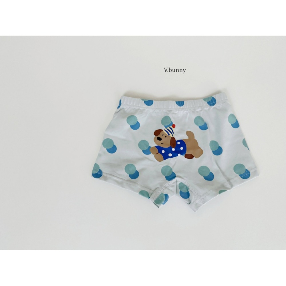 V.bunny 內褲 바닐라버니 워크도그팬티-細節圖9
