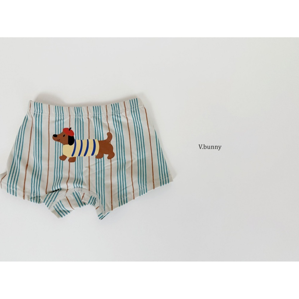 V.bunny 內褲 바닐라버니 워크도그팬티-細節圖10