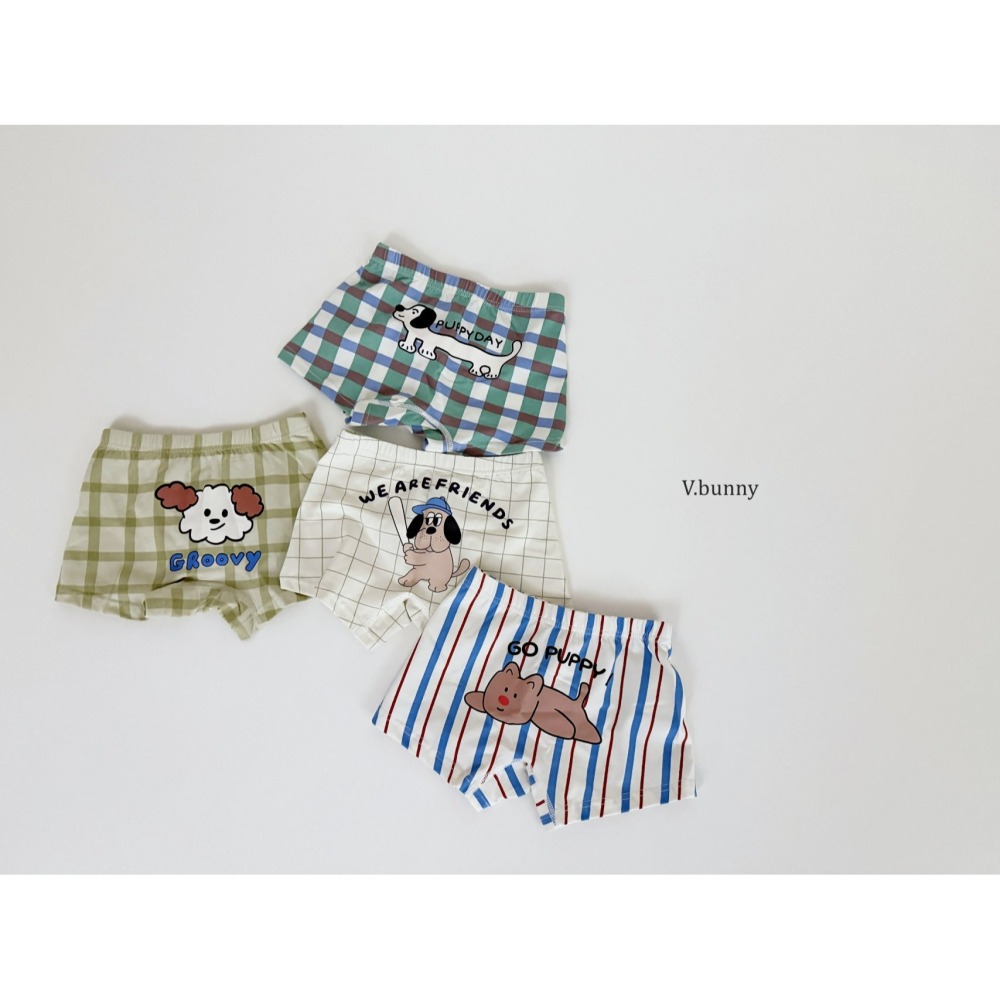 V.bunny 內褲 바닐라버니 그루비팬티-細節圖3