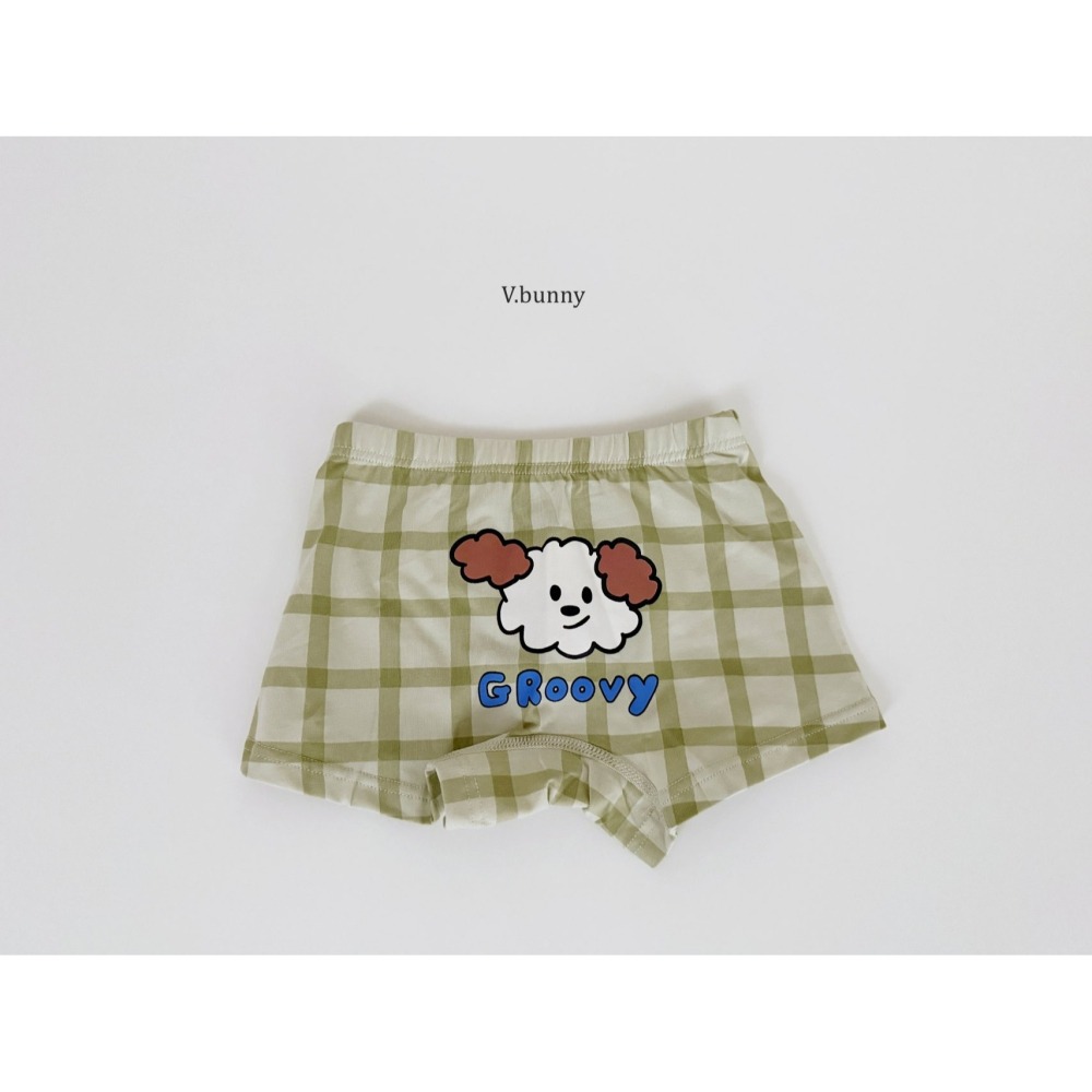 V.bunny 內褲 바닐라버니 그루비팬티-細節圖8