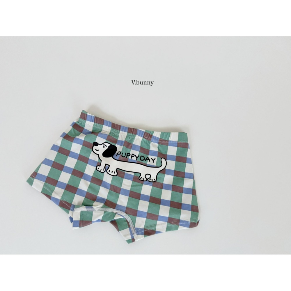 V.bunny 內褲 바닐라버니 그루비팬티-細節圖9