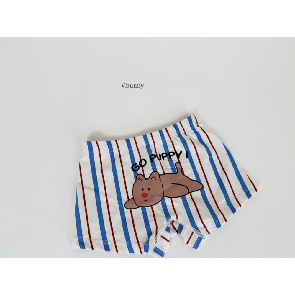 V.bunny 內褲 바닐라버니 그루비팬티-細節圖11