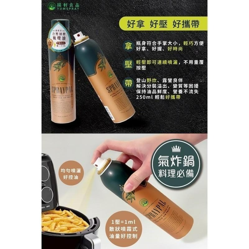 噴寶 Spraypal 氣炸鍋專用噴霧油 氣炸鍋噴霧油 噴霧橄欖油 食用油 露營、烤肉、料理、沙拉、冷盤-細節圖3