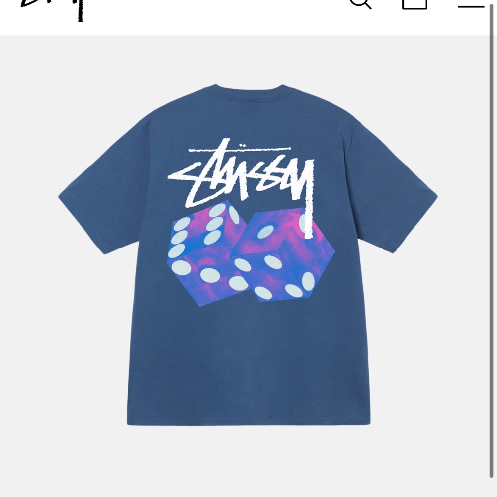 2023 STUSSY DICED OUT TEE骰子 短袖T恤 正品 潮流 滑板品牌-細節圖5