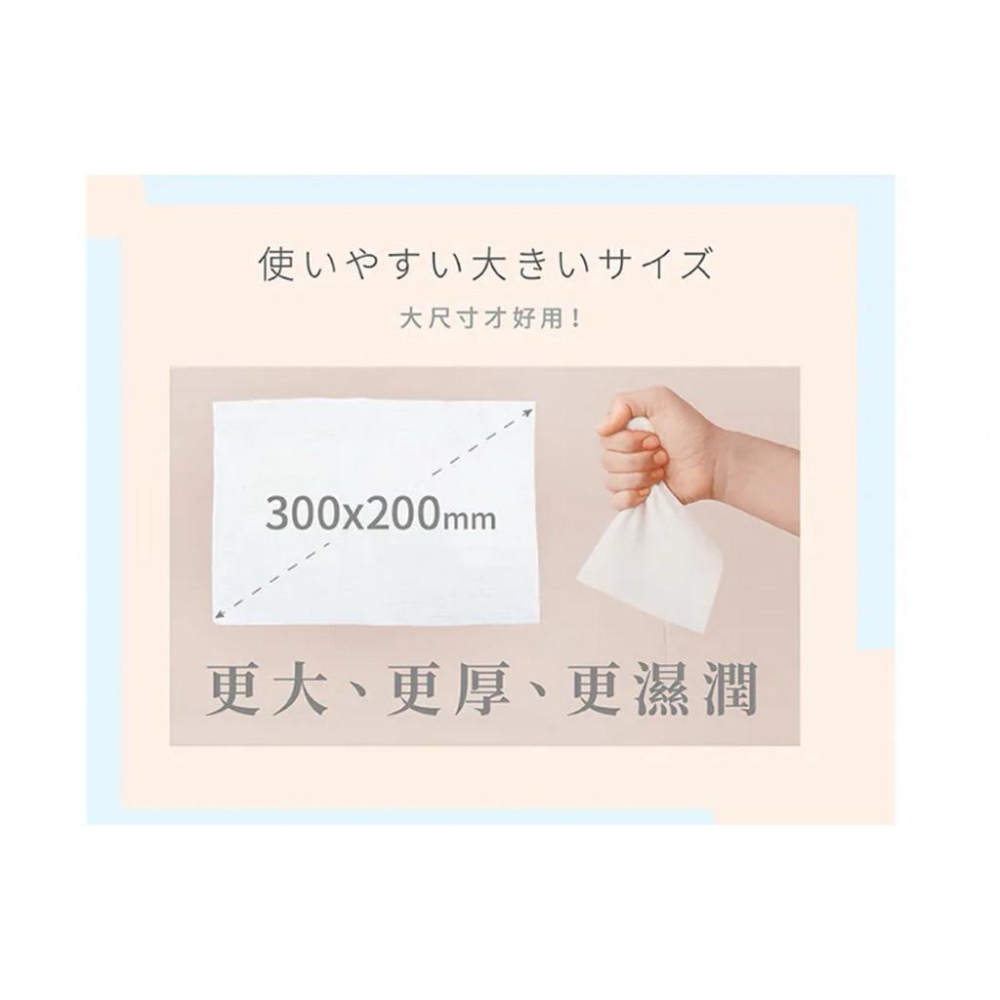 立得清 酒精擦 地板濕拖巾｜24抽-細節圖3