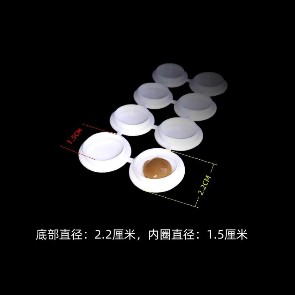 蟑螂/螞蟻 凝膠餌劑施藥盒 8入一排（不含凝膠藥劑）-細節圖3