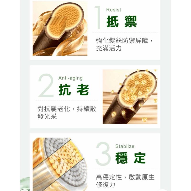 【SOFEI舒妃】 9黑嚴損洗髮精600ML-細節圖3