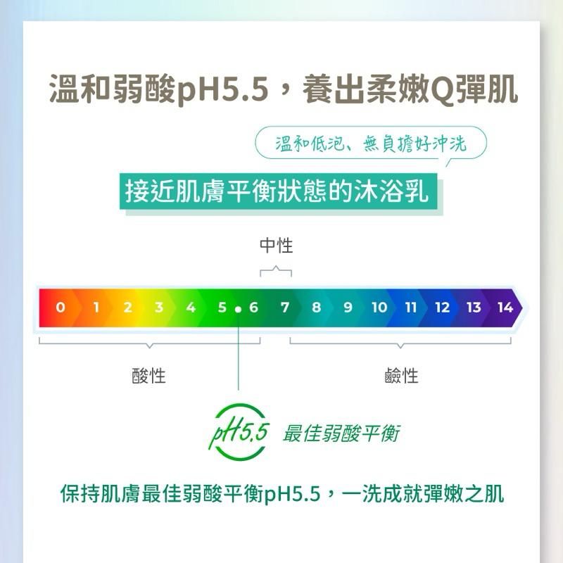 美琪 pH5.5抗菌沐浴乳1000ml 2款可選 經典皂香/輕柔果香-細節圖4