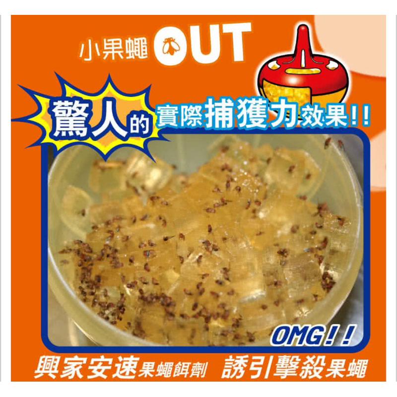興家安速 果蠅餌劑38g/1入組（塊狀果凍)-細節圖3