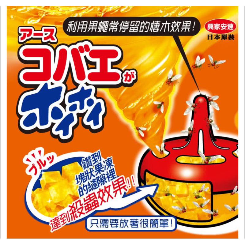 興家安速 果蠅餌劑38g/1入組（塊狀果凍)-細節圖4