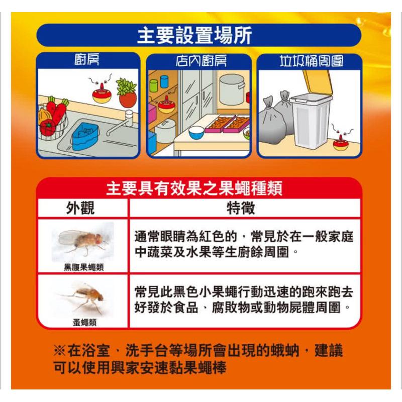興家安速 果蠅餌劑38g/1入組（塊狀果凍)-細節圖6