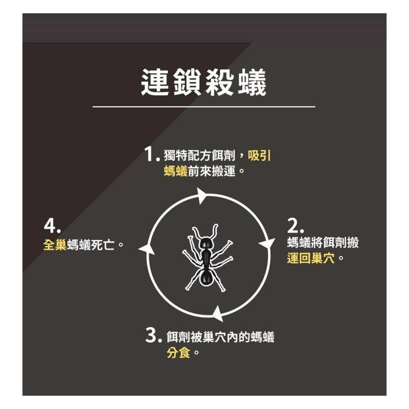 【安德生】蟻愛呷 除蟻特攻 綠盒(3g/2枚入/盒)-細節圖4