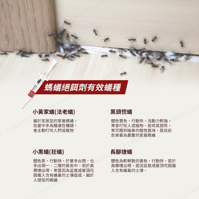 輕鬆點 螞蟻絕 凝膠餌劑5g/支｜送8個餌盒｜全面防治螞蟻 瓦解蟻穴-細節圖5