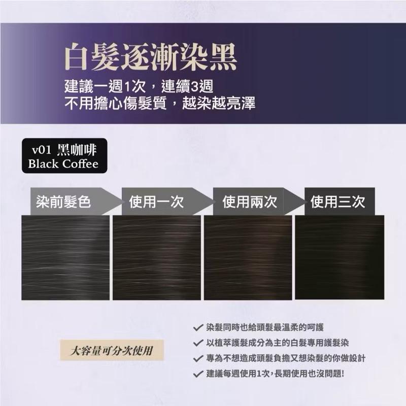 Kesho 白髮用護髮染 V01黑咖啡｜V02 棕色 /遮蓋白髮 /植物染護-細節圖2