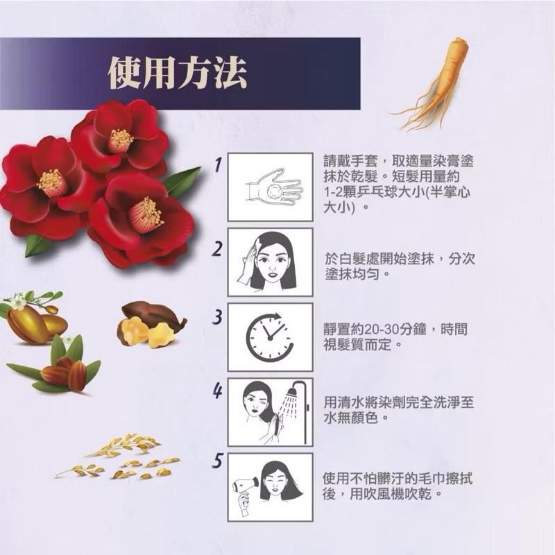 Kesho 白髮用護髮染 V01黑咖啡｜V02 棕色 /遮蓋白髮 /植物染護-細節圖4