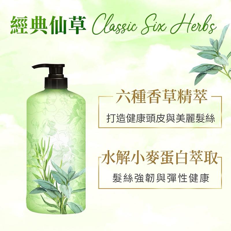 美吾髮 經典仙草洗髮露700ml【24h百貨網】-細節圖3