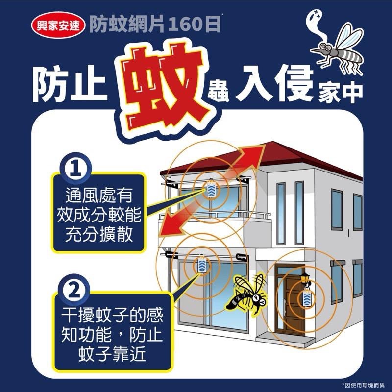 日本🇯🇵興家安速 防蚊網片160日 掛式網片 一片裝入 露營防蚊首選⛺️【24h百貨網】-細節圖3