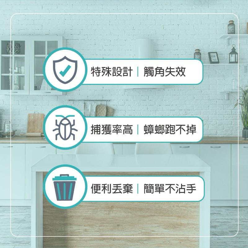 安德生 蟑愛呷-黏蟑屋 10入/包 （3款可選）無味-玉米味-魚骨味-細節圖5