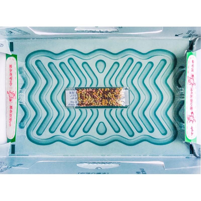 興家安速 黏金多捕蟑屋 5片裝【24h百貨網】-細節圖5