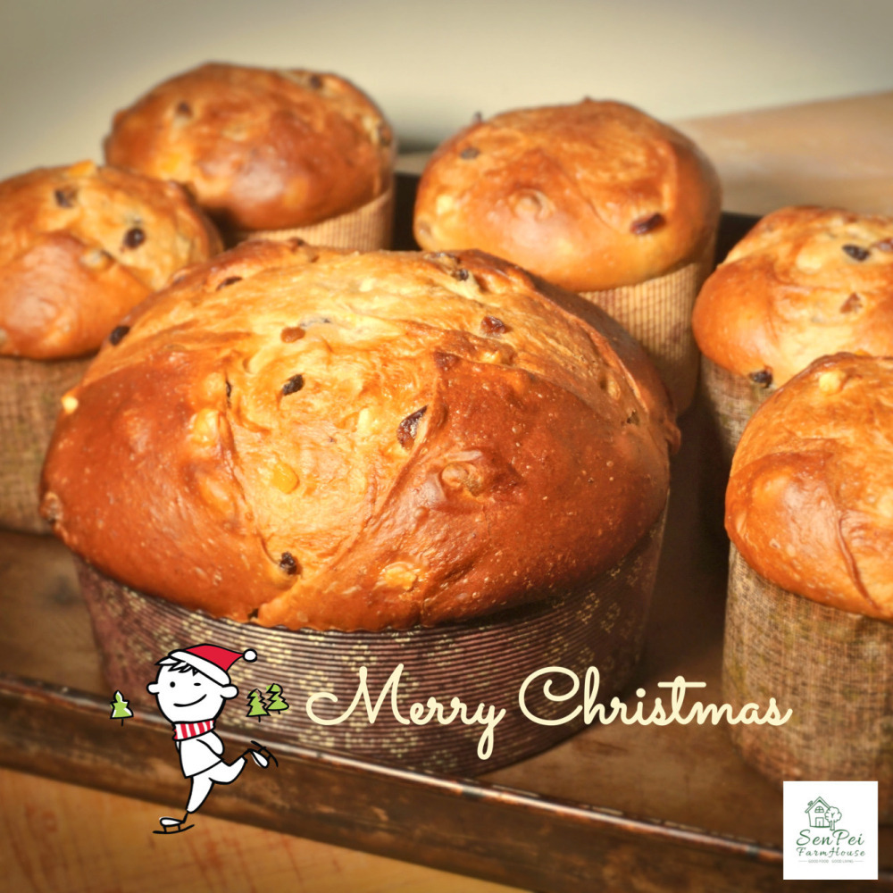 【🇮🇹義大利爸爸】聖誕水果麵包 Panettone 潘娜朵尼  義大利麵包 新鮮烘焙 口感溼潤 水果增量聖誕禮物-細節圖5