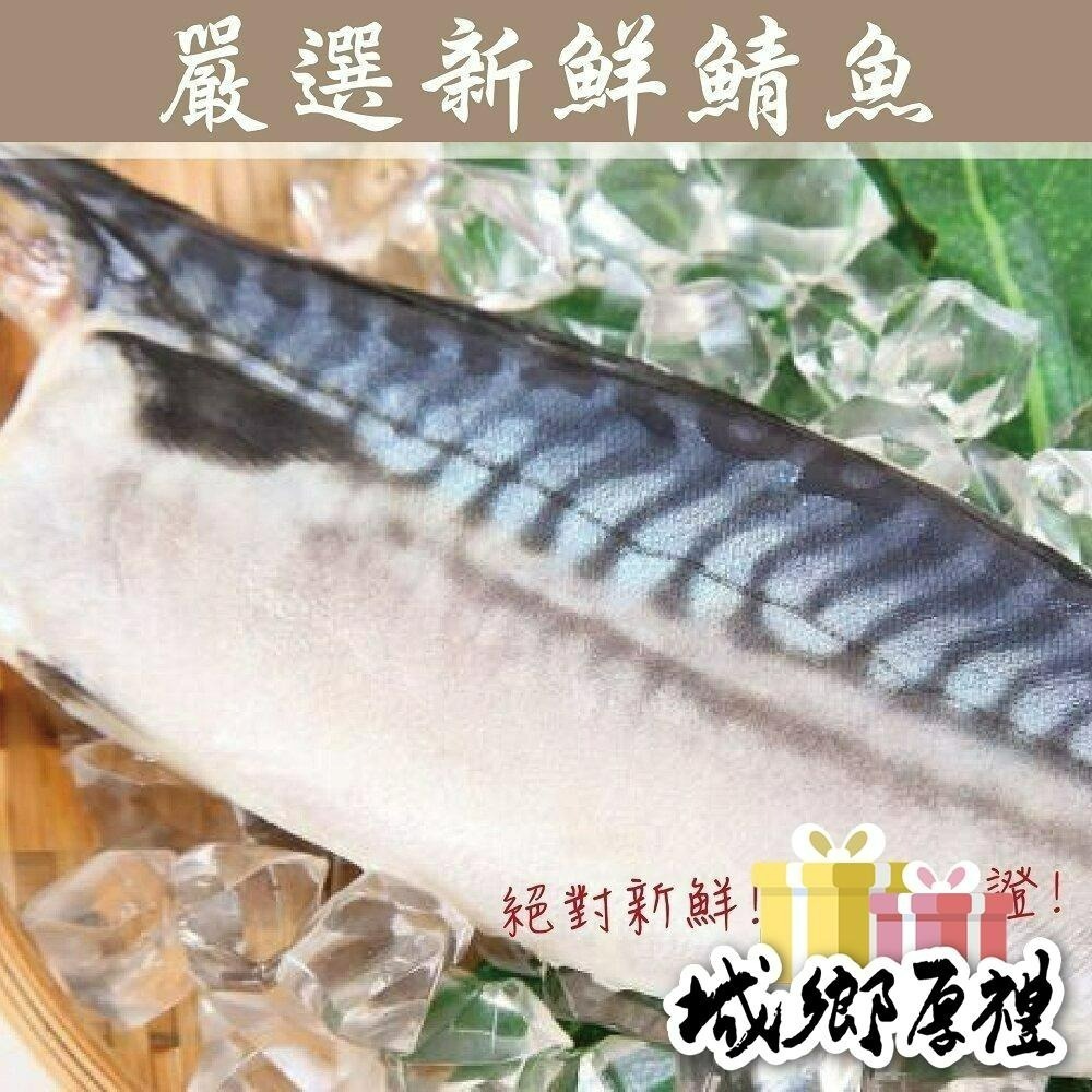 594購購配-嚴選挪威薄鹽鯖魚片170g±10%-細節圖2