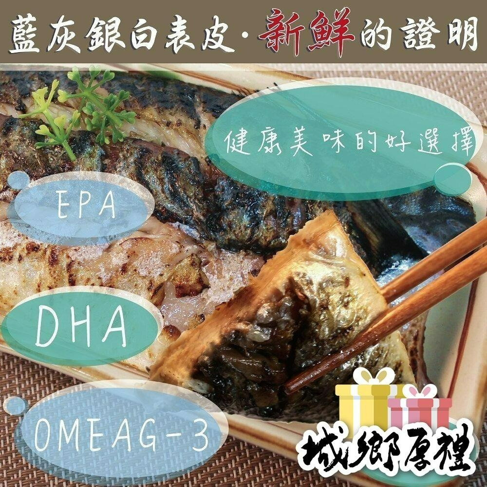 594購購配-嚴選挪威薄鹽鯖魚片170g±10%-細節圖3
