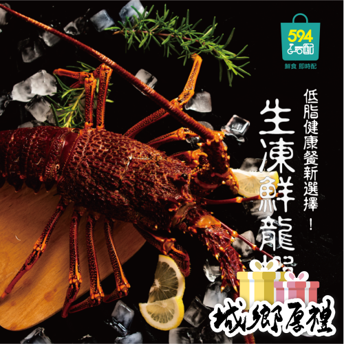 594購購配-[INBODY] 生凍鮮龍蝦 每隻重量約330g/ 一入