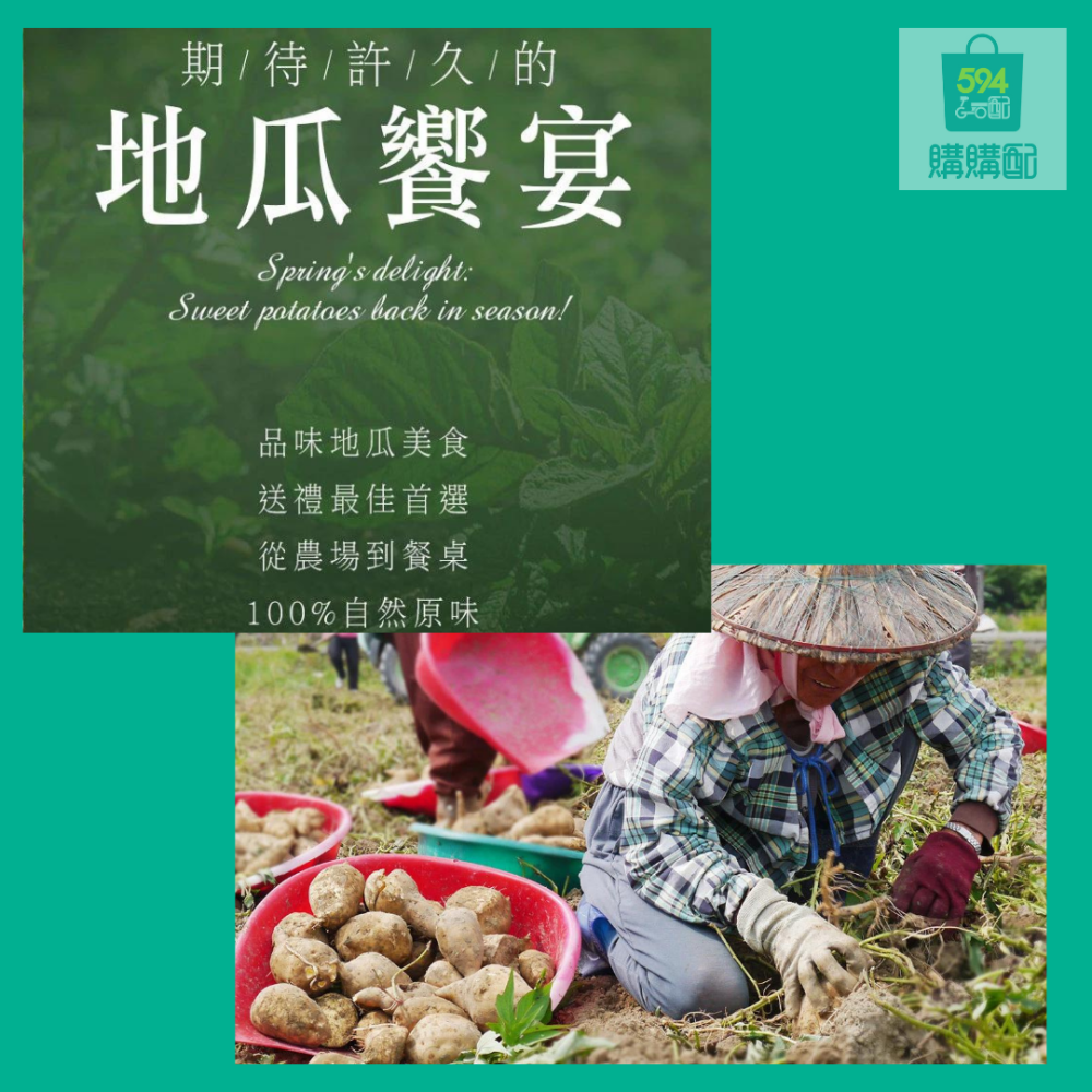 594購購配-[瓜瓜園] 蒸黃金地瓜500G原裝袋-細節圖4