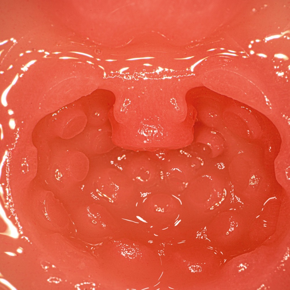 【1010SHOP】神宮寺奈緒 日本 NPG AV 女優 迷你名器 男用 自慰套 飛機杯 自慰器 打手槍 情趣 倒模名器-細節圖8