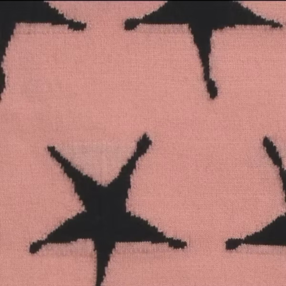 Acne Studios 圍巾 17R163 29O SCARF PINK STAR 全新 現貨 正品-細節圖2