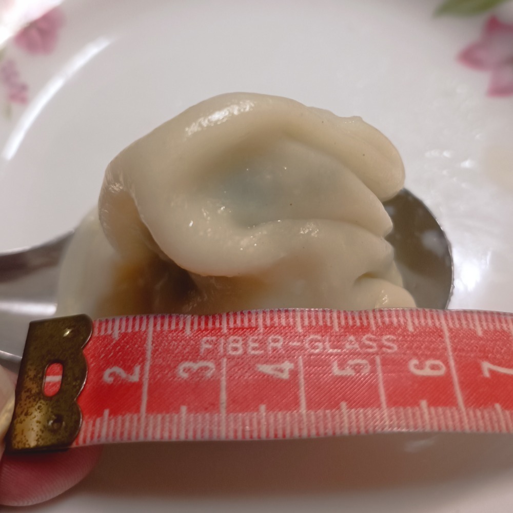 手工包韭菜豬肉水餃-細節圖4