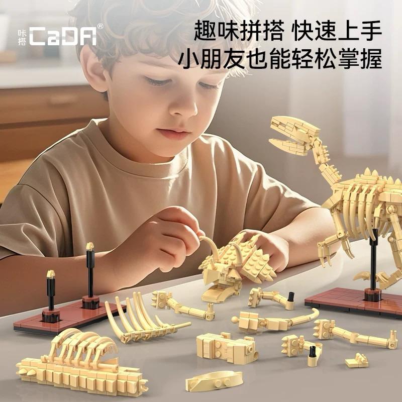 ［可刷卡］CaDA恐龍骨架模型積木 劍龍 三角龍 迅猛龍 夜光 三款可合體 暴龍 博物館發光的恐龍化石 收藏 生日禮物-細節圖7