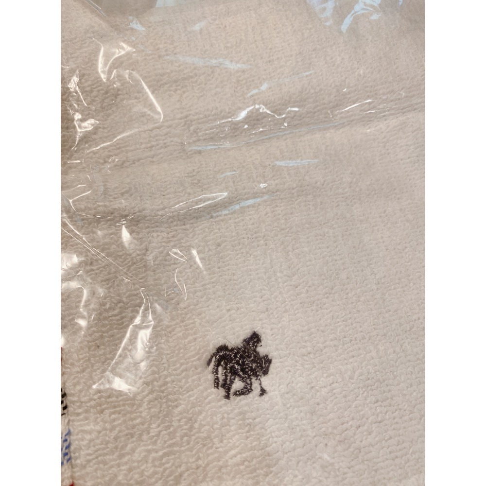 🌸日本限定 POLO 聯名正品 格子條紋款 100%純棉 無燃系 🌼小方巾 手帕 毛巾-細節圖2