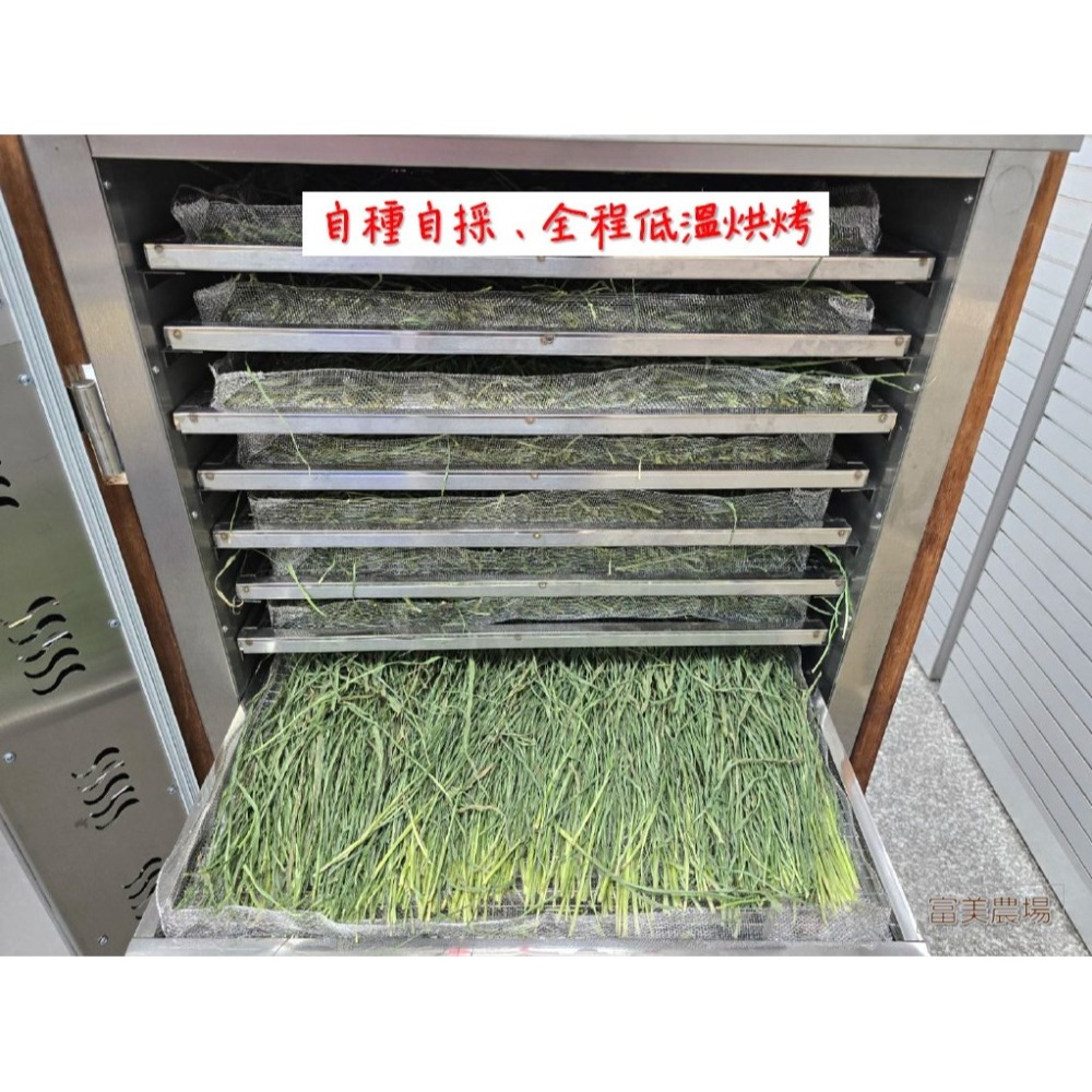 «台畜6號狼尾草»低溫烘焙乾草適合天竺鼠 兔子 烏龜 龍貓 倉鼠 水豚 松鼠 深受草食性動物喜愛 寵物牧草 乾草飼料-細節圖5