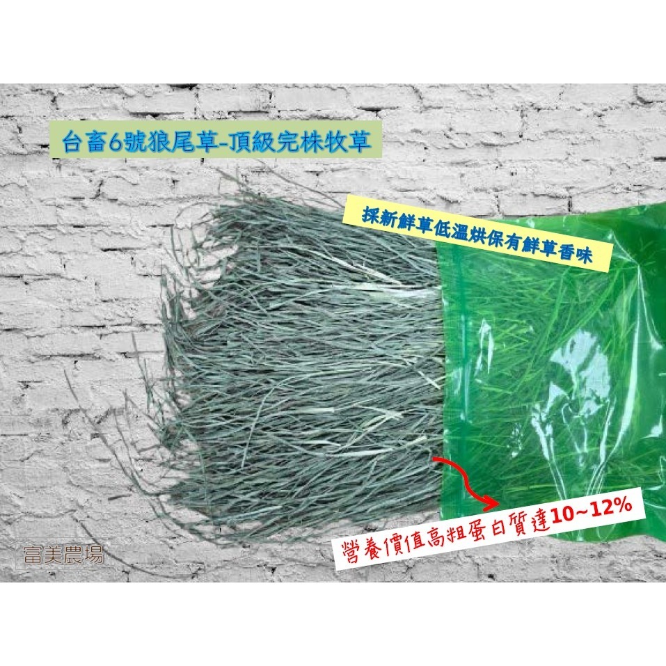 «台畜6號狼尾草»低溫烘焙乾草適合天竺鼠 兔子 烏龜 龍貓 倉鼠 水豚 松鼠 深受草食性動物喜愛 寵物牧草 乾草飼料-細節圖7