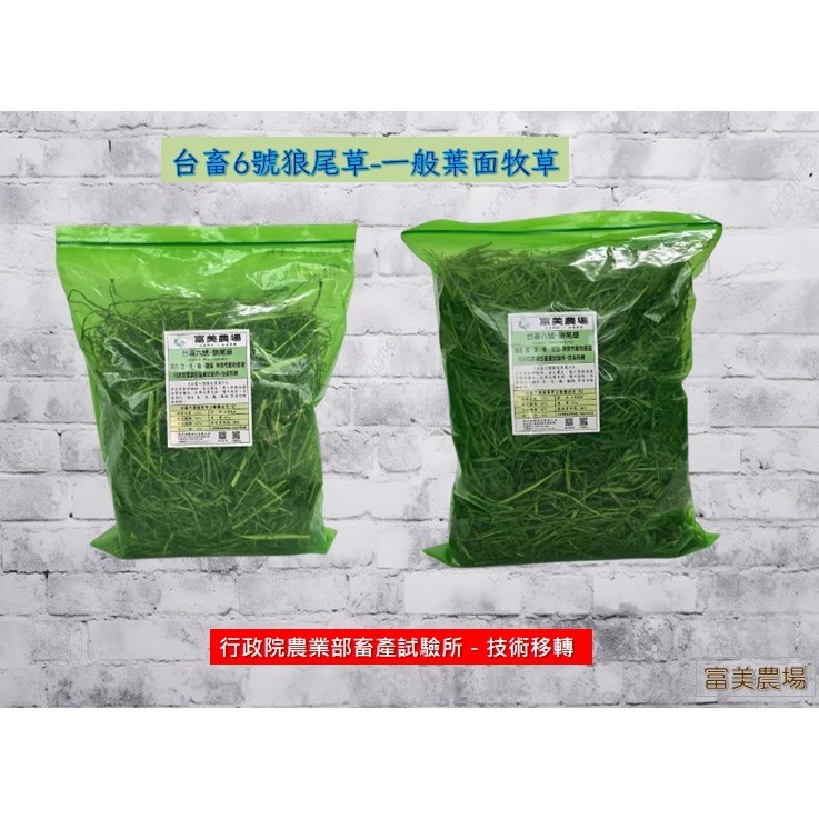 «台畜6號狼尾草»低溫烘焙乾草適合天竺鼠 兔子 烏龜 龍貓 倉鼠 水豚 松鼠 深受草食性動物喜愛 寵物牧草 乾草飼料-細節圖8