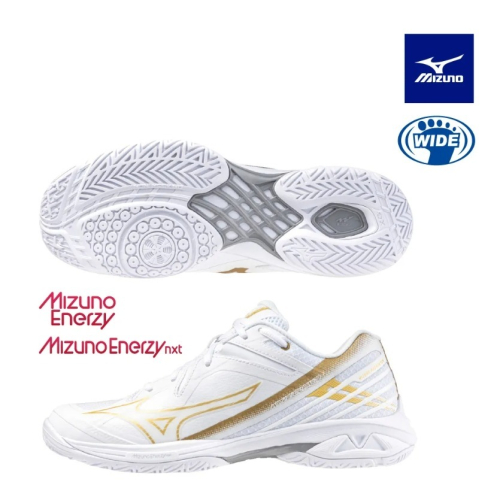 【力揚體育 羽球】 美津濃 71ga244341 羽毛球鞋 WAVE CLAW 3 MIZUNO 羽球鞋