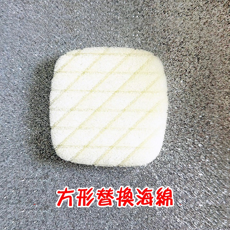 *LyDia甘仔店* DIY 氣墊粉餅 氣墊腮紅 空盒 方形 透明 圓形 氣墊外殼+內芯+海綿+粉撲-規格圖3