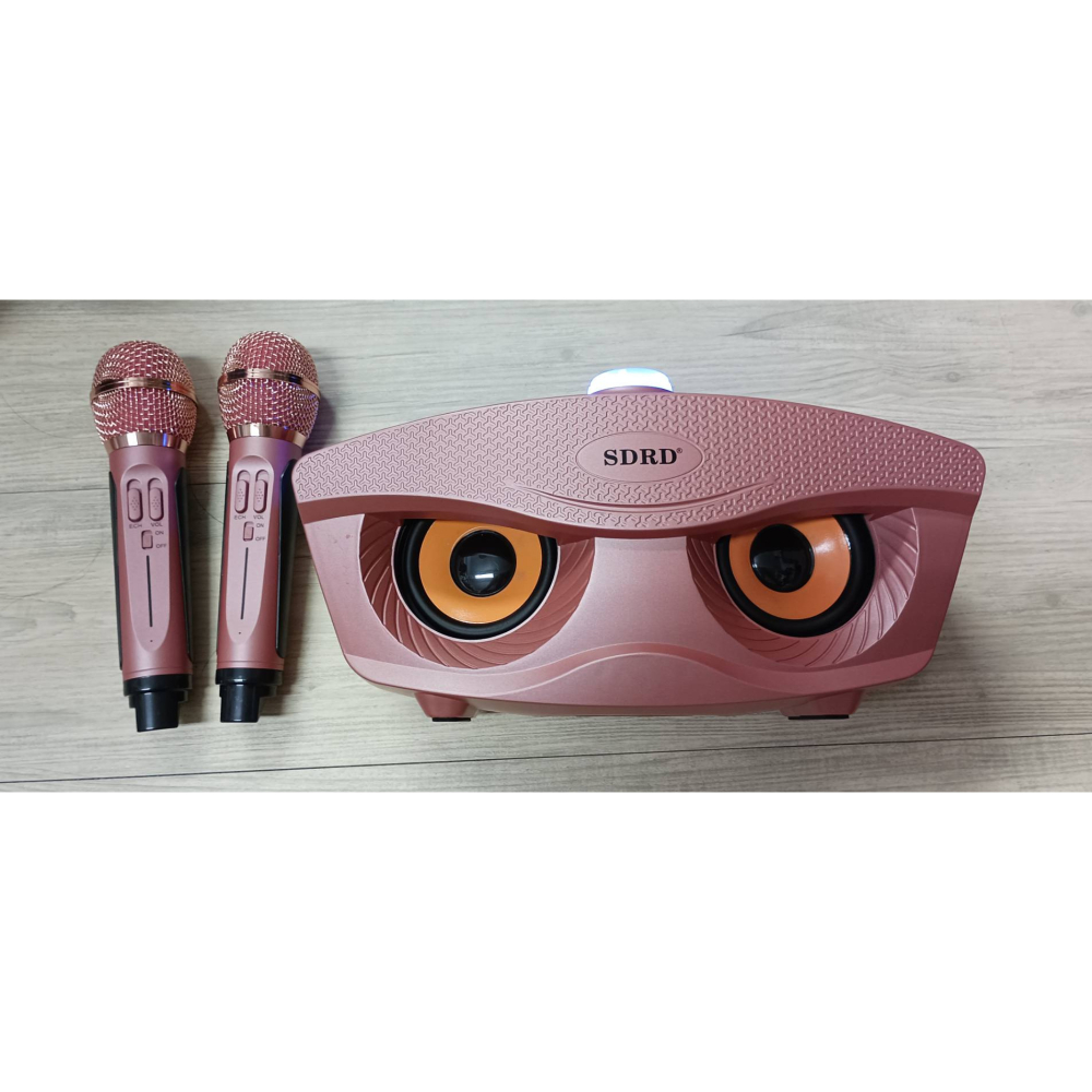 SDSR 聖拓 可攜式KTV音箱-細節圖2