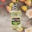 LISTERINE 李施德霖 天然綠茶防蛀護齦漱口水  全效護理抗敏感 現貨-規格圖3