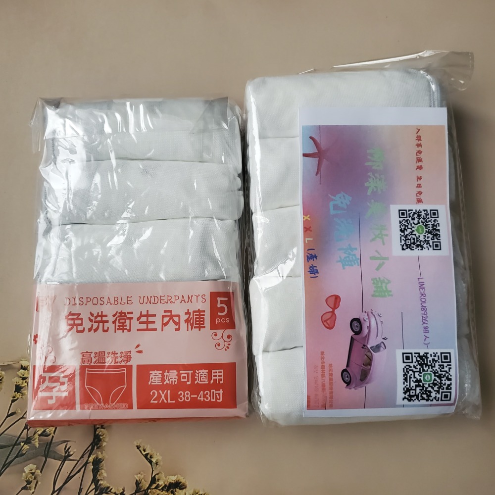 女-XL（5件／入）新舊包裝隨機出貨