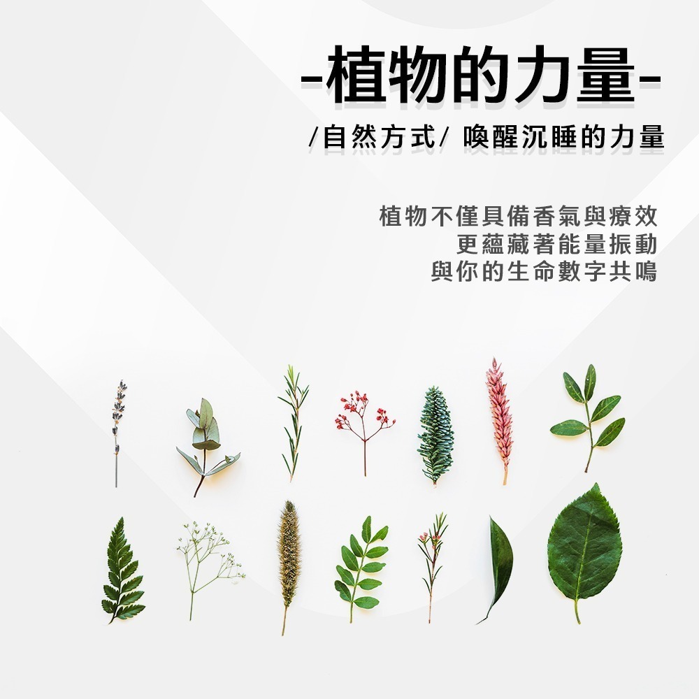 【好.樣.日.子】數字水泌保濕化妝水 生命靈數 外泌體保濕化妝水 積雪草外泌體化妝水 噴霧保濕化妝水 50ml-細節圖7