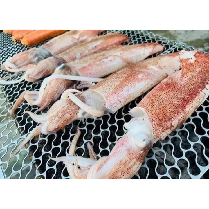 生小卷-細節圖3