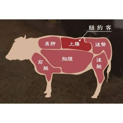 A5和牛紐約客牛排-細節圖3