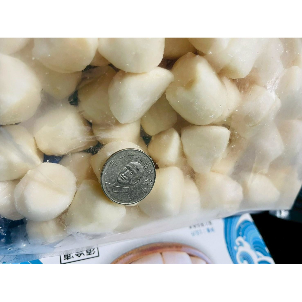 小福貝-細節圖4