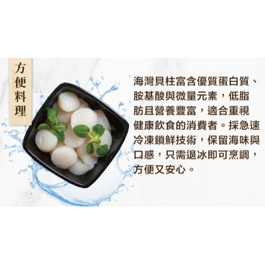 小福貝-細節圖7