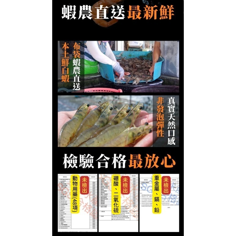 甘單高麗菜鮮蝦水餃-細節圖4